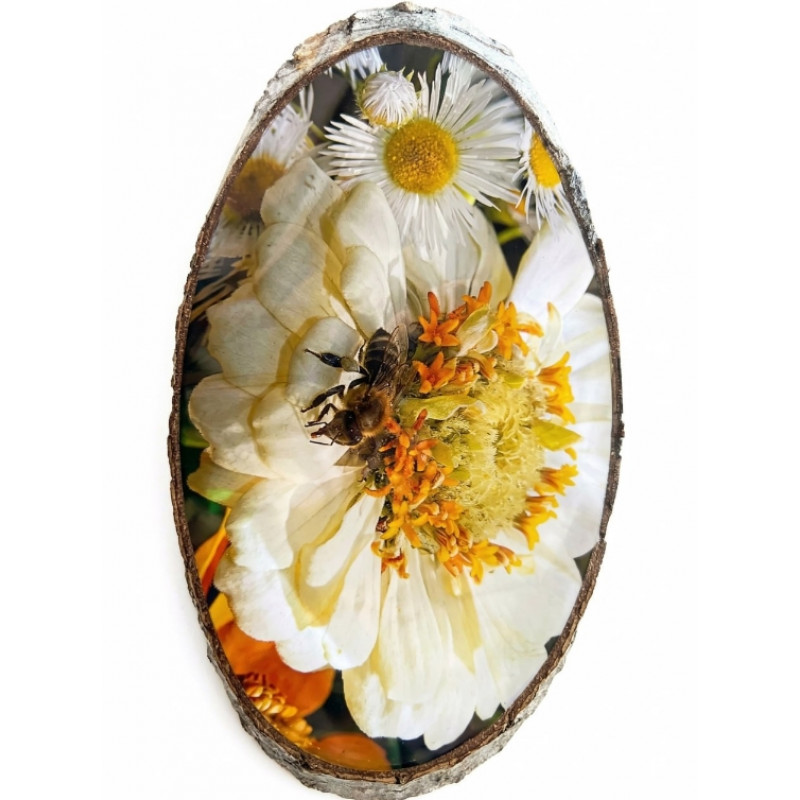 Фотокартина на натуральному дереві (Зріз дерева, 36–38 см)