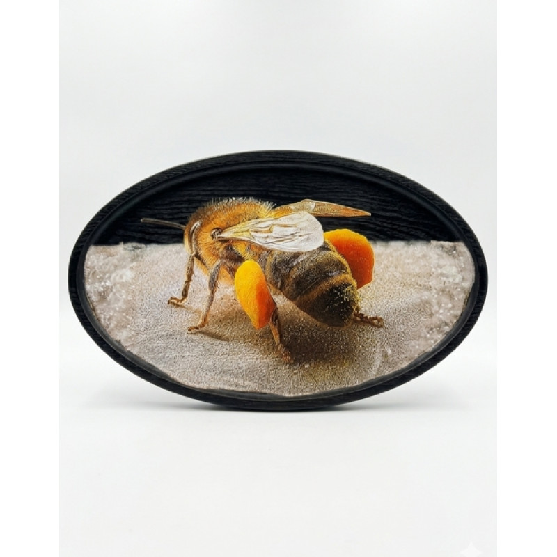 Фотокартина на натуральному зрізі берези (32–35 см)