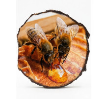 Кругла фотокартина на натуральному дереві (Зріз дерева)