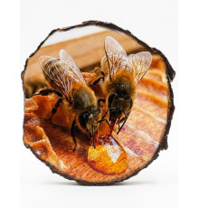 Кругла фотокартина на натуральному дереві (Зріз дерева)