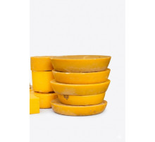 Закуповуємо віск пасічний