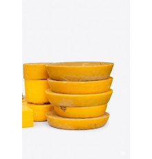 Закуповуємо віск пасічний