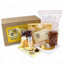 Система «Nicot-30» (Франція)