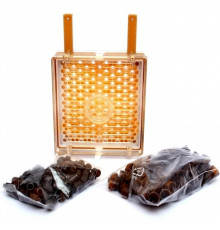 Джентерський сот «Стандарт» (Karl Jenter, Німеччина)