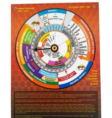 Календар розвитку бджолиної матки