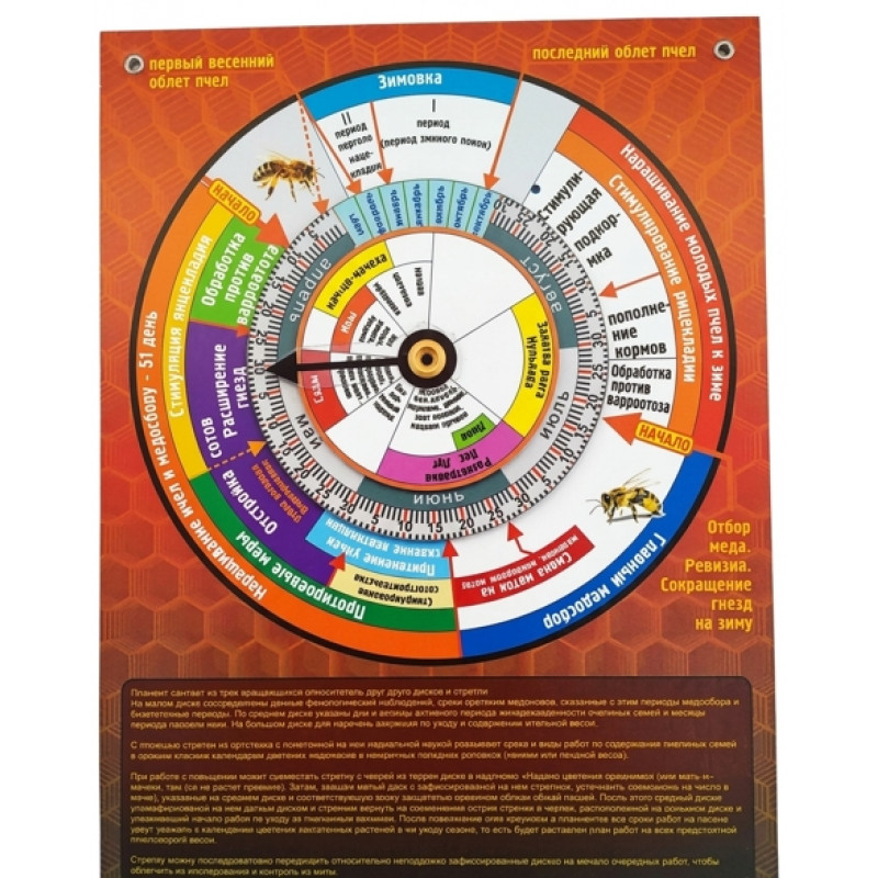 Календар розвитку бджолиної матки