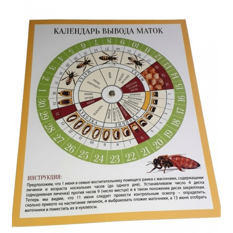 Календар виведення маток (на сезон 2026)