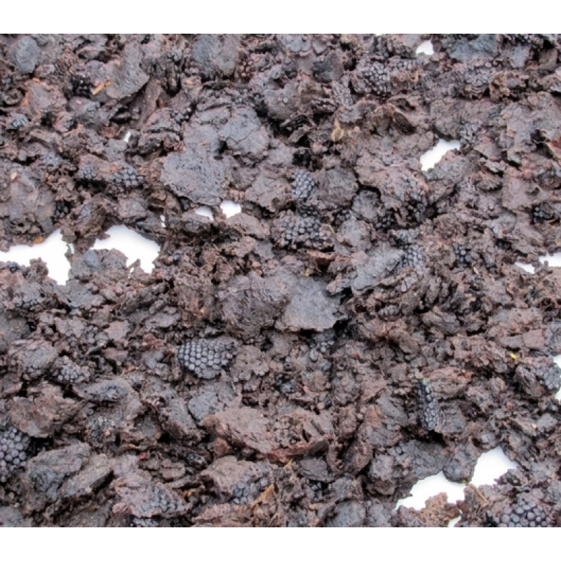 Закуповуємо мерву (воскосировину)